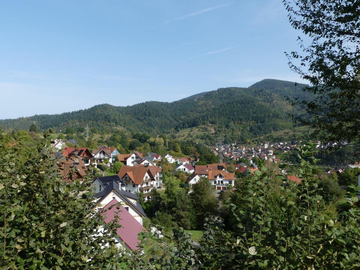 Ferienwohnungen Sonnenhalde Mit Schoener Aussicht Forbach Ngoại thất bức ảnh