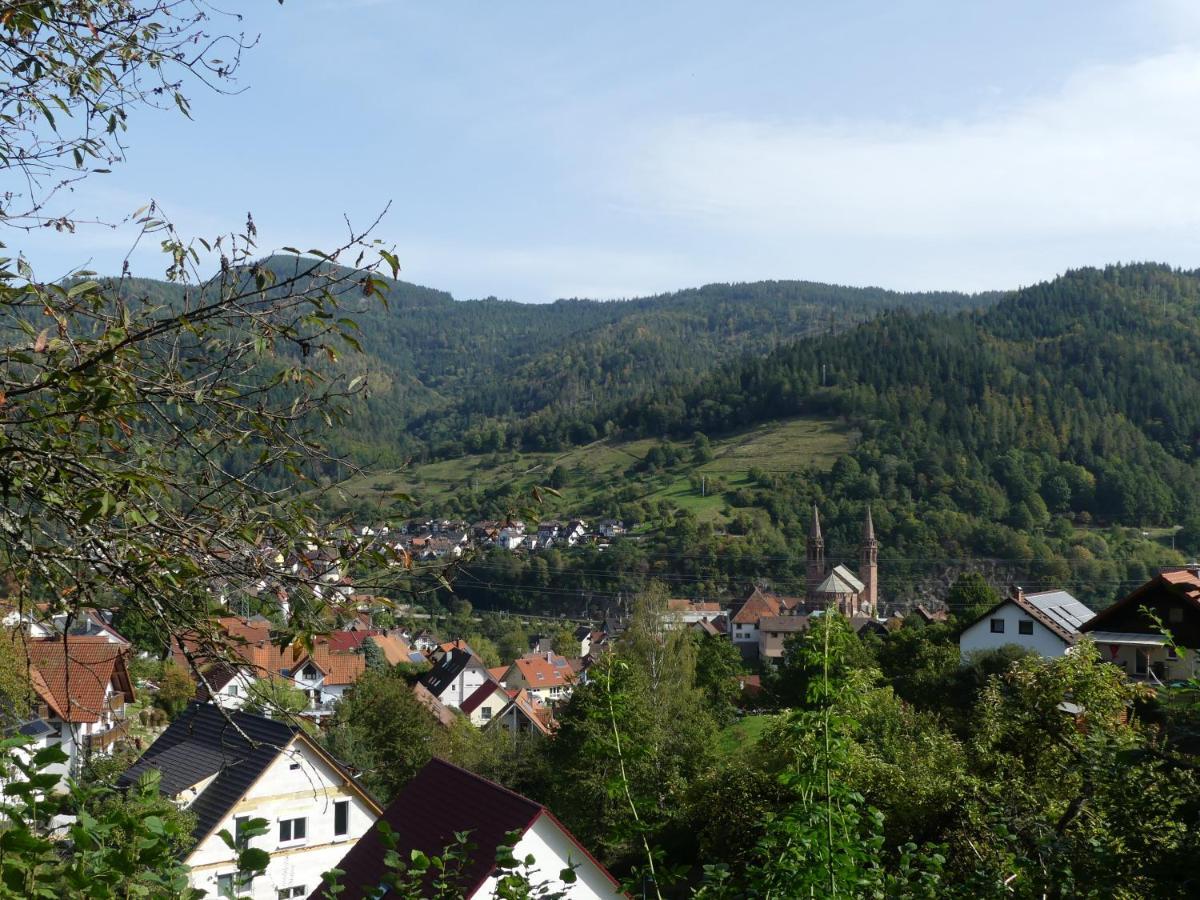 Ferienwohnungen Sonnenhalde Mit Schoener Aussicht Forbach Ngoại thất bức ảnh